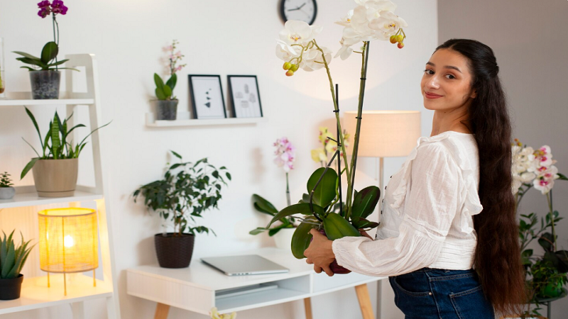 Decoradhouse Garden Tips by Decoratoradvice